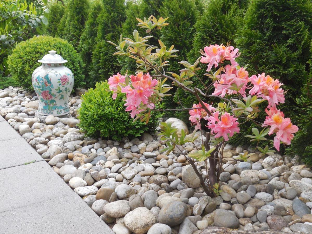 Ferienwohnung Mit Japangarten คาร์ลชตัดท์ ภายนอก รูปภาพ